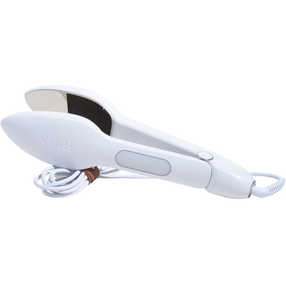 Handheld Steam Iron